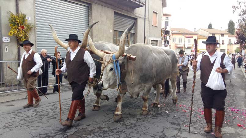 I bifolchi alla Festa di Marta